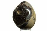 Septarian Dragon Egg Geode - Sparkly Black Crystals #344442-2
